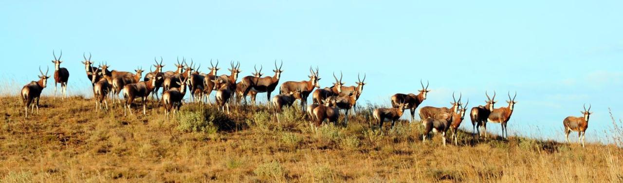 Komati Gorge Lodge, R 36 Halfway Between Carolina And Machadodorp ภายนอก รูปภาพ